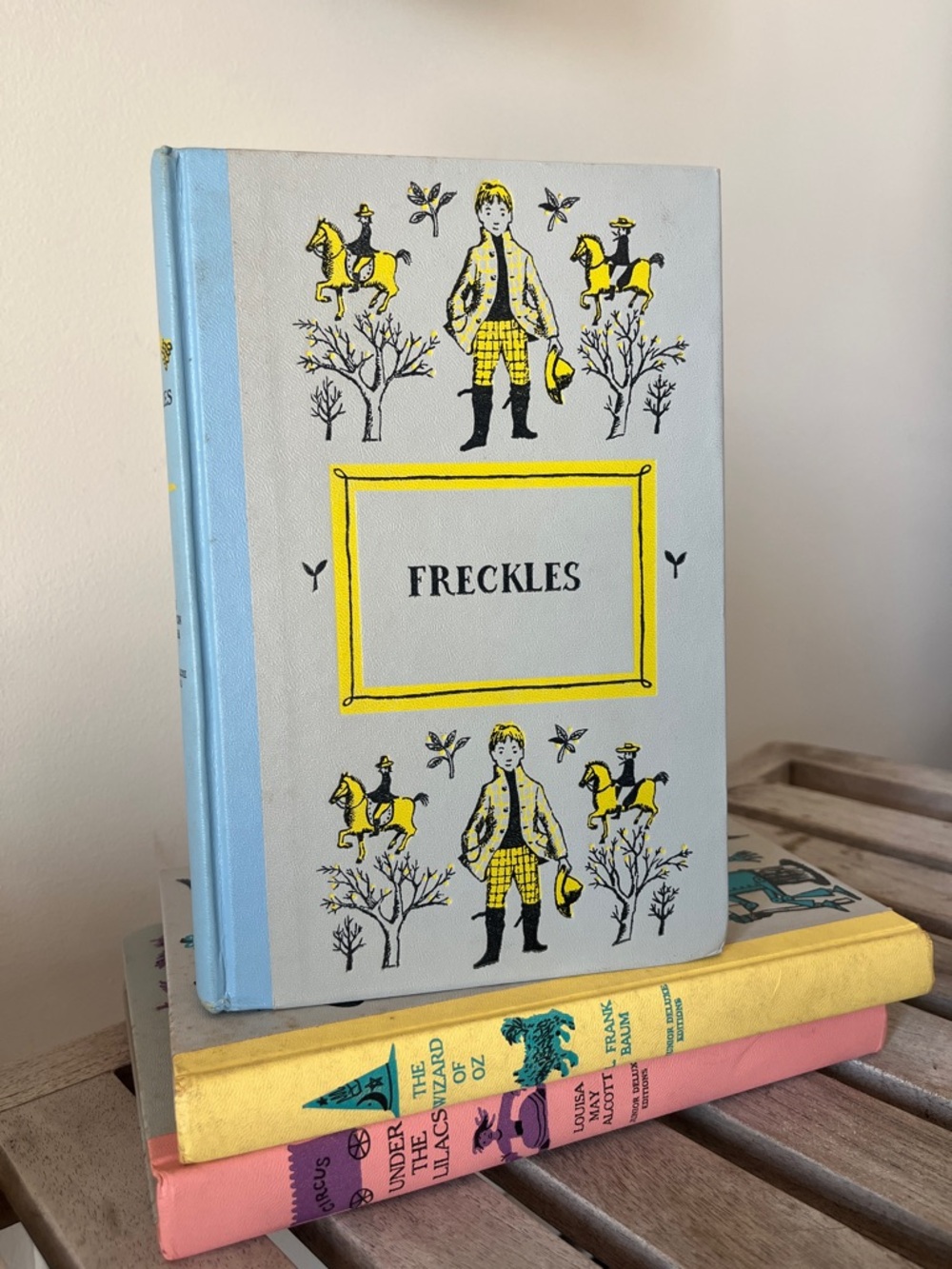 Vintage Freckles Hardcover Gene Stratton-Porter Illustrated Jr Deluxe Edition